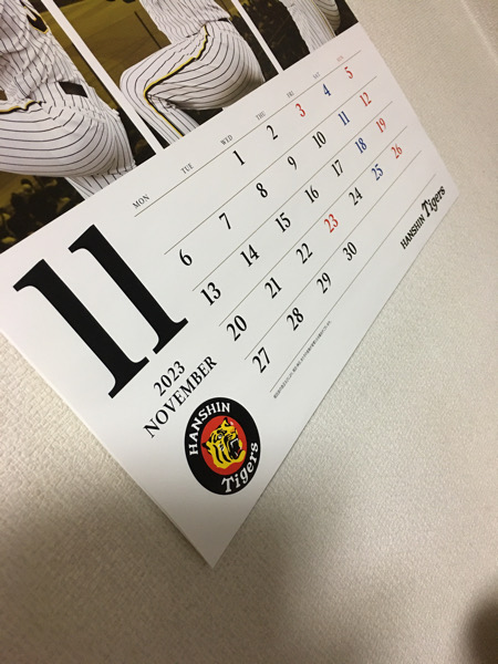 11月1日です。2023年もあと2ヶ月ですね。アナタの今年の身体、やり残しはありませんか